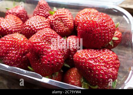 strawberry in plastic transparent container box, close-up, selective focus. fresh organic strawberries in the plastic tray Stock Photo