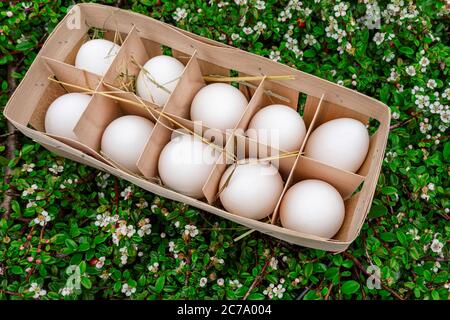 Wooden basket with white bio eggs, green meadow with white flowers in the background. Concept for Easter, eggs sprinkled with hay Stock Photo