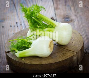 Fresh organic fennel Stock Photo