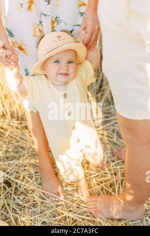 Young parents lead and hold by hands their baby in yellow wheat field. Stock Photo