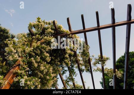 different landscaping applications in parks and gardens Stock Photo