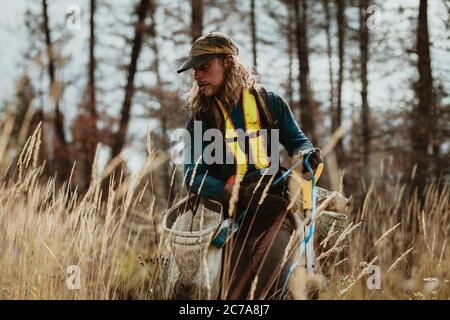 Male volunteer wearing reflective vest and cap working in forest. Tree planter working in forest. Stock Photo