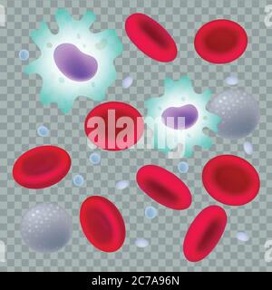 Blood cells. Erythrocytes, leukocytes and thrombocytes. Medical vector illustration.  Stock Vector