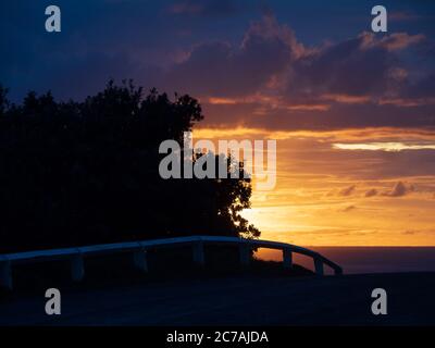 Sunrise over the ocean, glowing yellow sky with daylight streaming out behind the silhouetted trees and curving wooden fence, on a Winter's morning Stock Photo