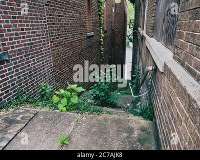 An old stairwell between 2 brick buildings Stock Photo