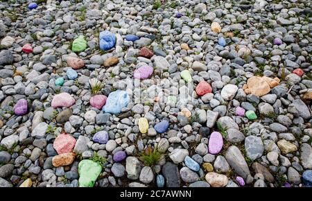 Small multi-colored forest stone texture background top view photo for your backdrop Stock Photo