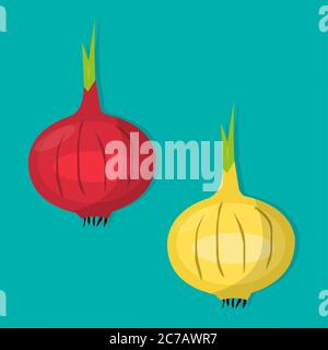 onion vegetable isolated vector illustration Stock Vector