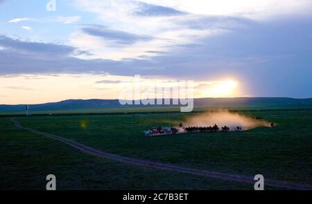 Beijing, China. 26th June, 2020. Photo taken on June 26, 2020 shows a herd of horses running on a horse ranch in Xilinhot of north China's Inner Mongolia Autonomous Region. Credit: Jia Lijun/Xinhua/Alamy Live News Stock Photo