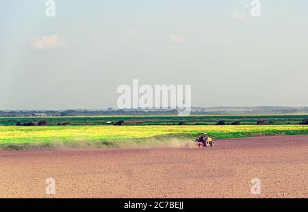 Brazilian rural landscape. Rice planting area (Oryza ssp.). Soil in ...