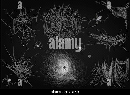 Cobweb set isolated on black transparent alpha background. Spiderweb for Halloween design. High quality spider web horror halloween design decor Stock Vector