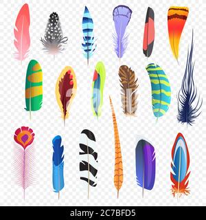 Vector colored bird feathers isolated on the alpha transperant background. Stylized feathers set Stock Vector