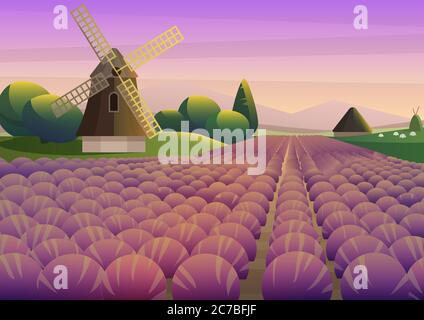 Colorful illustration with purple lavender field with old windmill on background of sunset sky Stock Vector