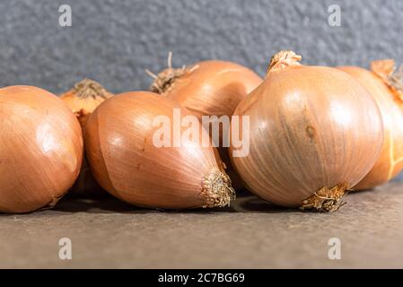 Bulbs of onions (Allium cepa). Condiments for seasoning. Culinary ingredient. Source of flavonoids and minerals, iron, potassium, sodium, phosphorus a Stock Photo
