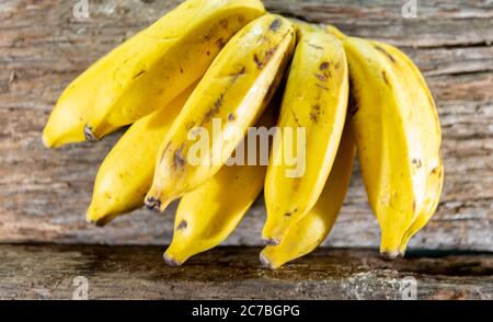 Bunch of bananas. Banana, pacoba or pacova is a pseudobaga of the ...
