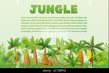 Vector Rainforest palm trees with other tropical exotic plants landscape. Lush forest jungle tree Stock Vector