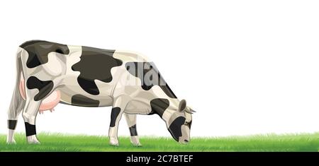 Cow vector isolated on a white background. Eats grass on the field, grazing, pasture, meadow. Design element for dairy products made of milk. For farm Stock Vector