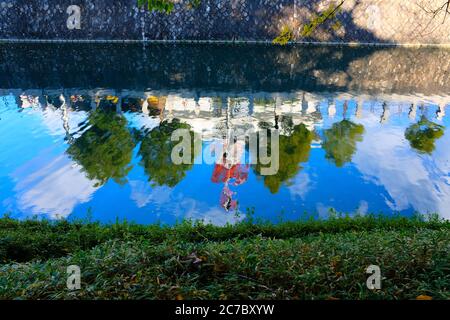 Beautiful shot a river with the reflection of greenery in the water Stock Photo