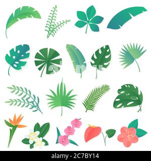 Vector cartoon set of isolated tropical leaves. Palm, banana leaf, hibiscus, plumeria flowers Stock Vector