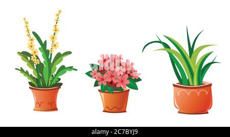 Indoor houseplant flowers in clay ceramic pots. Set. Isolated vector illustration. Cartoon style. Stock Vector
