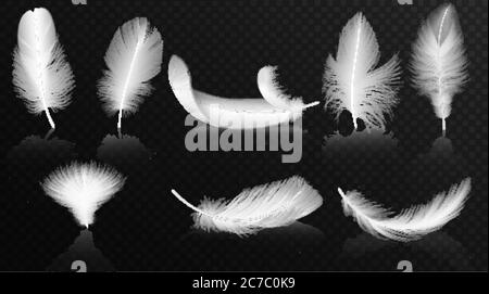 Vector white feathers on the glossy transparent alpha background collection. Realistic volumetric fluffy twirled feathers set Stock Vector