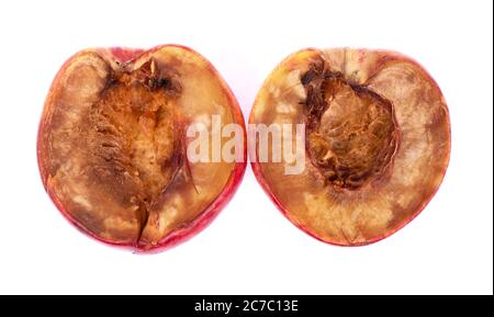 Two halves of rotten nectarine isolated on white background Stock Photo