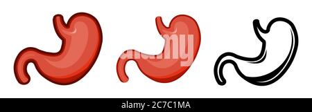 Healthy human stomach. Whole. Set. Color image and monochrome icon. A series of illustrations on the internal organs. Isolated vector object on a whit Stock Vector