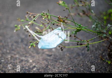 A discarded face mask at the side of a street during the global Covid 19 pandemic, Berlin, Germany, Europe Stock Photo
