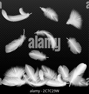 Realistic white vector bird twirled feathers falling on black transparent alpha background Stock Vector