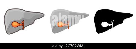 Healthy human gall bladder. Whole. Set. Color image and monochrome icon. A series of illustrations on the internal organs. Isolated vector object Stock Vector