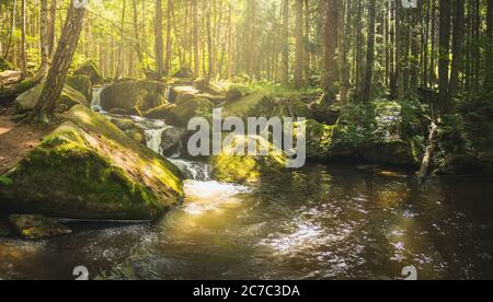 rapids on the wild river in the forest, St. Wolfgang Falls, Vyssi brod, Czech republic Stock Photo
