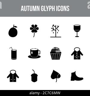 Unique autumn vector glyph icon set Stock Vector