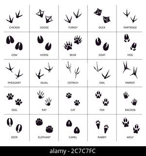 Goat Footprint. Black Silhouette Design. Vector Illustration Stock ...