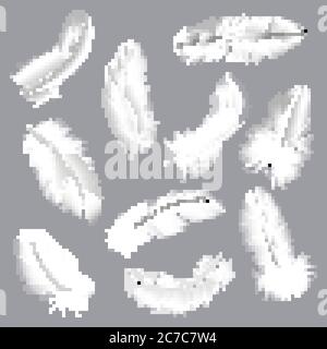 Realistic feathers. Fluffy white twirled feathers, bird wing falling weightless feather, flying lung quill isolated vector illustration set Stock Vector