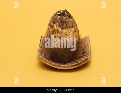 Easter egg decorated with chicken feathers in ceramic tray Stock Photo