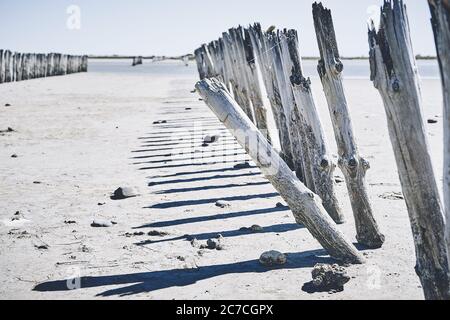 Horizontal shot of tree logs mounted on the sand near the sea under the beautiful blue sky Stock Photo