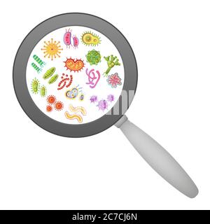 Cartoon Bacteria and viruses under microscope Stock Vector Image & Art ...