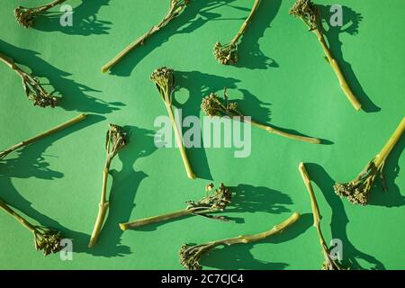 Raw broccolini vegetable on green background Stock Photo