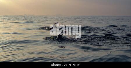 Wide shot of two swimmers in Copacabana Beach with a foggy background at Rio de Janeiro, Brazil Stock Photo