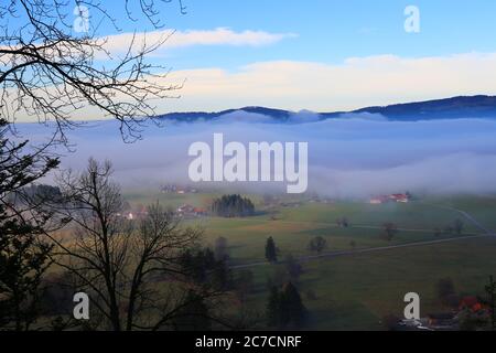 Morning fog in Bavaria Stock Photo