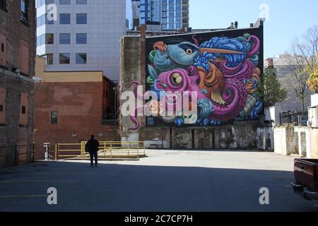 Halifax Nova Scotia wall graffiti Stock Photo