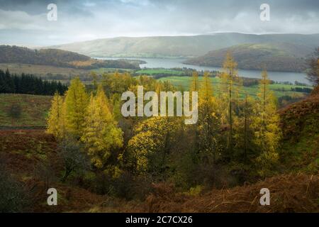 Autumnal view from Gowbarrow Fell over Ullswater lake with Barton Fell and Hallin Fell beyond in the Lake District National Park, Cumbria, England. Stock Photo