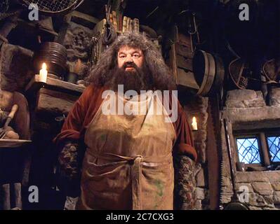 Hagrid, umbrella hi-res stock photography and images - Alamy