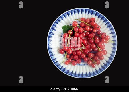 Red currant berries on a saucer with a blue border. Stock Photo