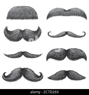 Different styles of male realistic mustaches set. Chevron, Dali, english, handlebar, imperial, lampshade, painter brush, classic relaxed, thick thin man mustaches isolated Stock Vector