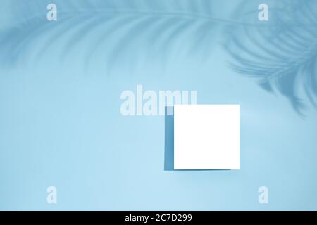 White empty blank card mockup with floral shadows on blue background. top view. Leaf shadows Stock Photo