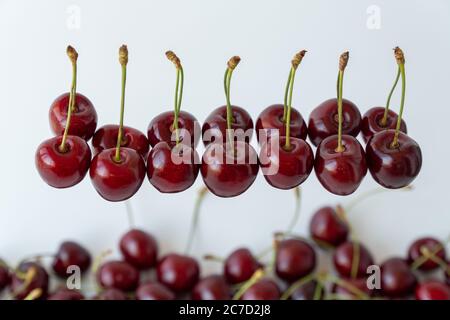 fruit of Prunus avium. ripe berries of juicy cherries isolated on a white background. Stock Photo