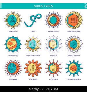 Human viruses icon set in colored line style. Infection cells symbols collection. Vector illustration. Stock Vector