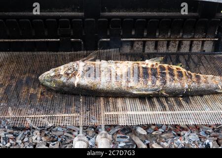 salmon stuffed with herbs grilling on the barbecue Stock Photo