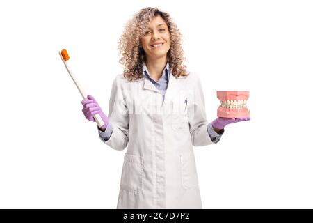 Smiling female dentist holding a big toothbrush and a model jaw isolated on white background Stock Photo