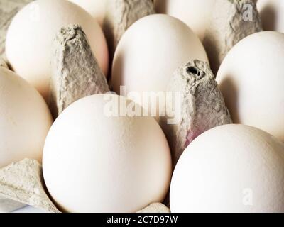 A tray of white eggs Stock Photo
